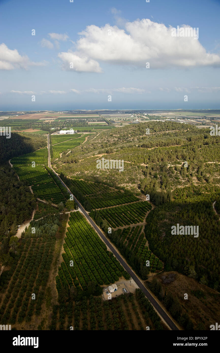 Vista aerea dell'agricoltura campi del Carmelo ridge Foto Stock