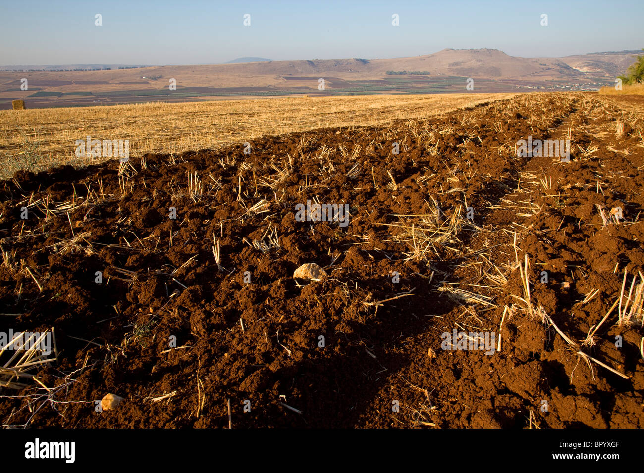 Fotografia di un campo arato in Bassa Galilea Foto Stock