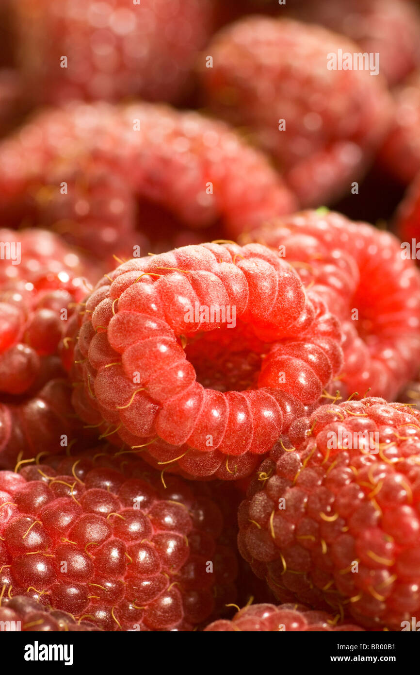 Extreme Close-up di lamponi maturi. Dettagli sorprendenti a piena risoluzione. Foto Stock