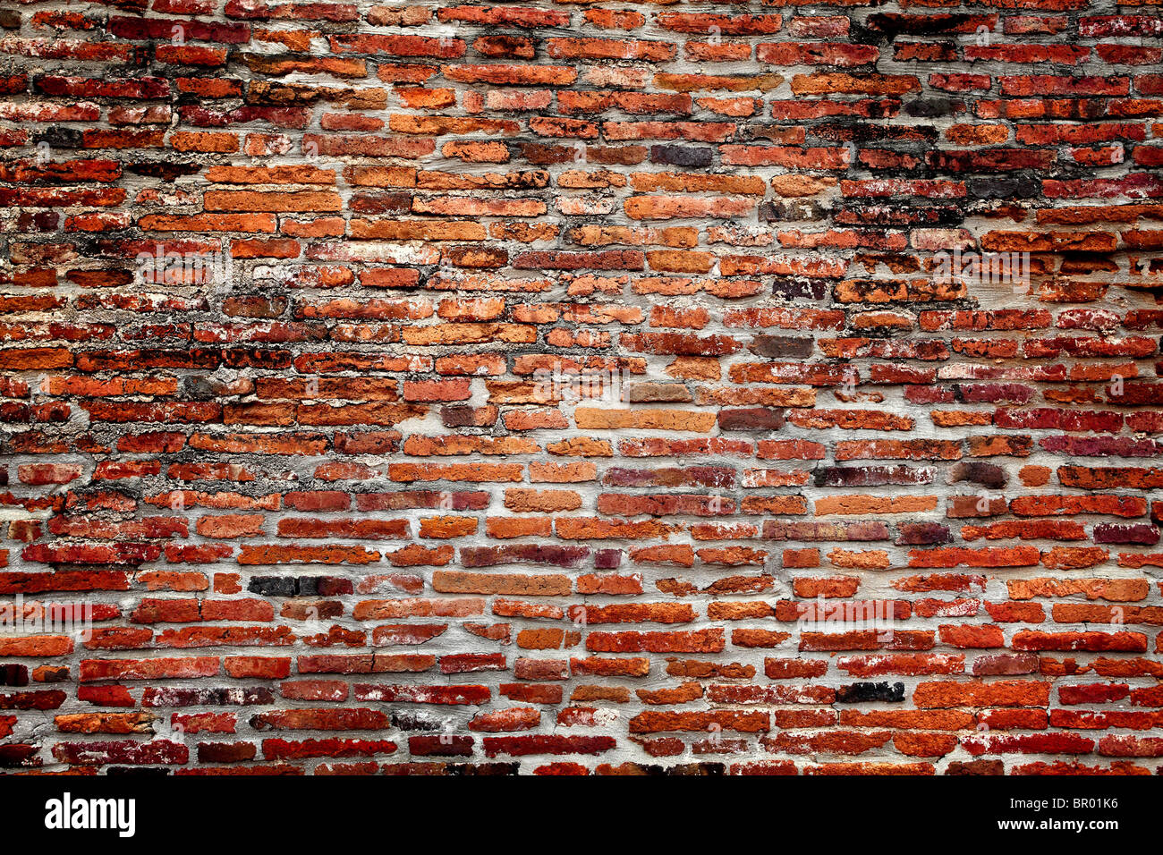 Rosso classico muro di mattoni in dettaglio Foto Stock