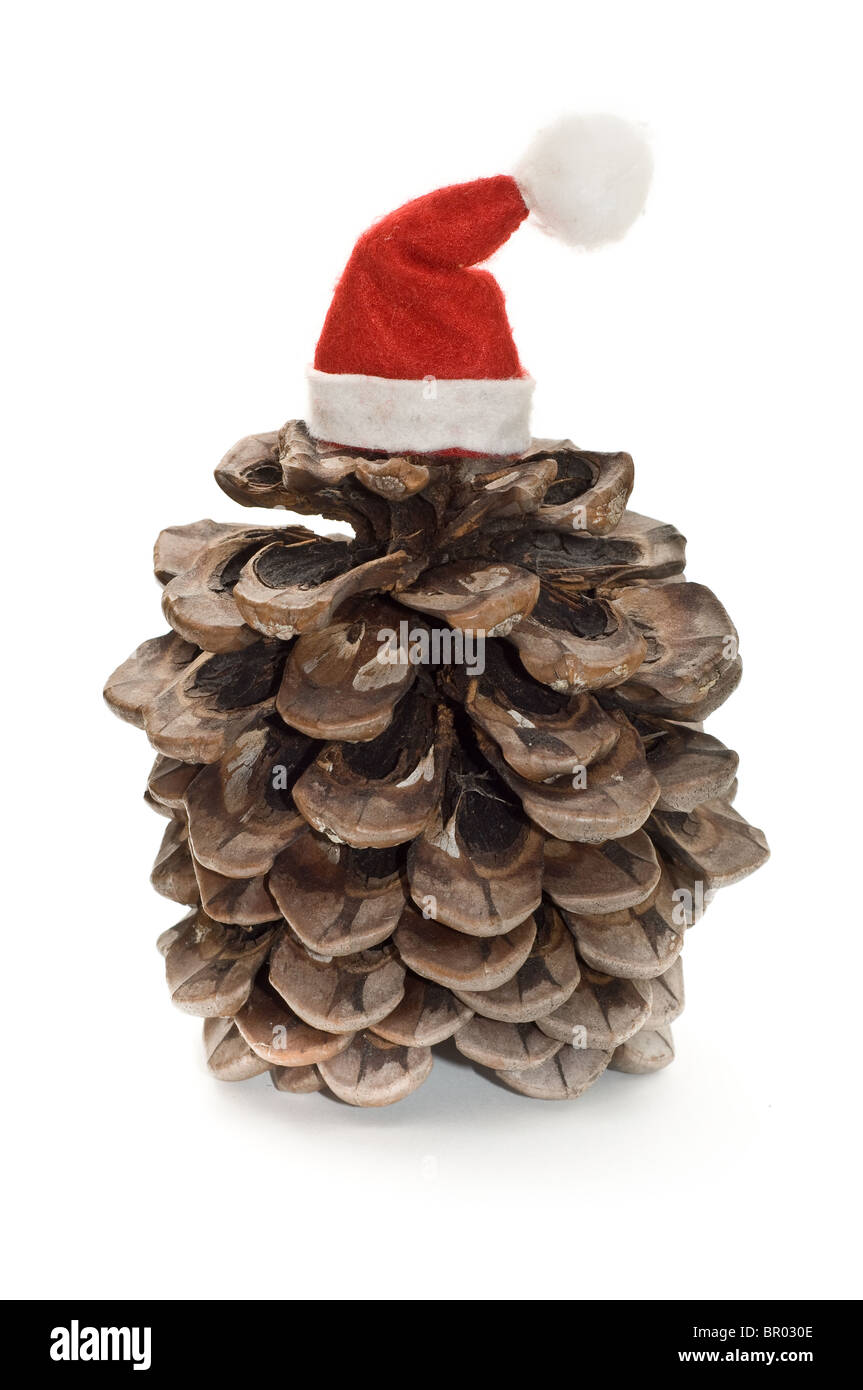Cono di pino con Santa hat Foto Stock