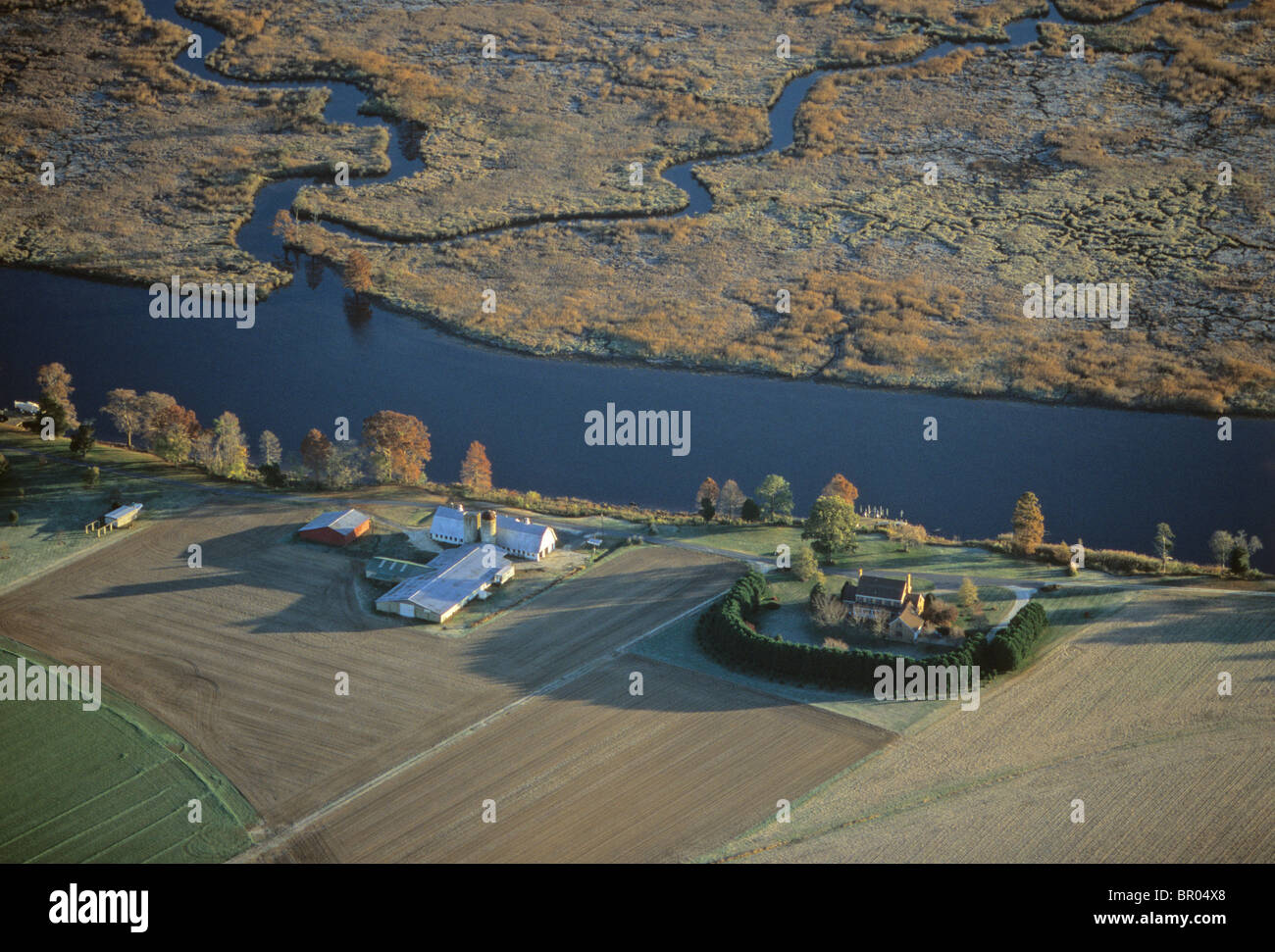 Una fattoria e zone umide sul fiume Pocomoke, Maryland. Foto Stock
