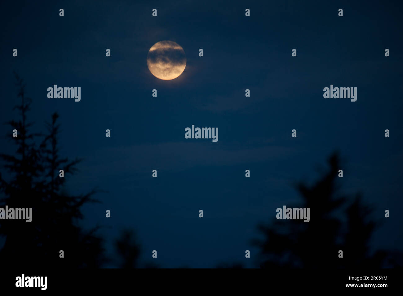Luna piena con la foresta di alberi e cielo blu con nuvole Foto Stock