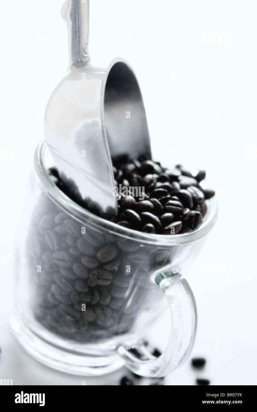 I chicchi di caffè sulla tavola in una tazza Foto Stock