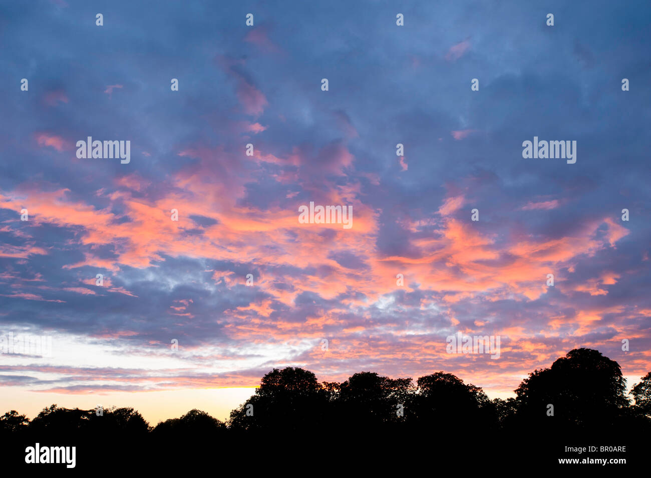 Cielo drammatico tramonto alberi paesaggio scenic nuvole Foto Stock