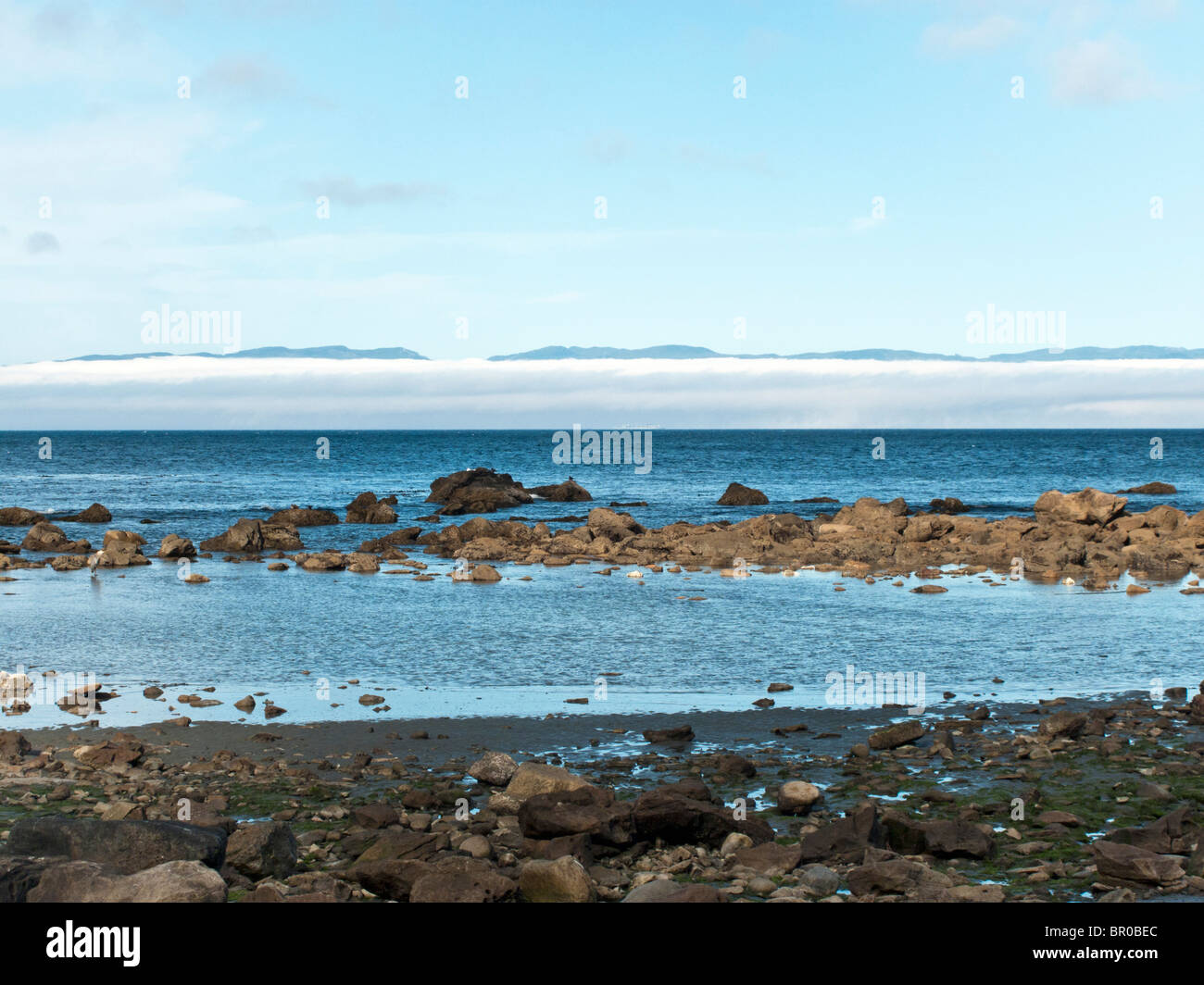 Spiaggia rocciosa & Tidal piscina sulla costa nord della Penisola Olimpica con vista dell'isola di Vancouver concealeled parzialmente dal basso nebbia banca Foto Stock