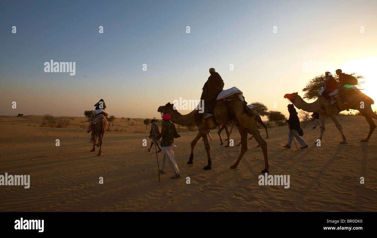 Passeggiate a dorso di cammello vicino Manvar ad ovest di Jodhpur Foto Stock