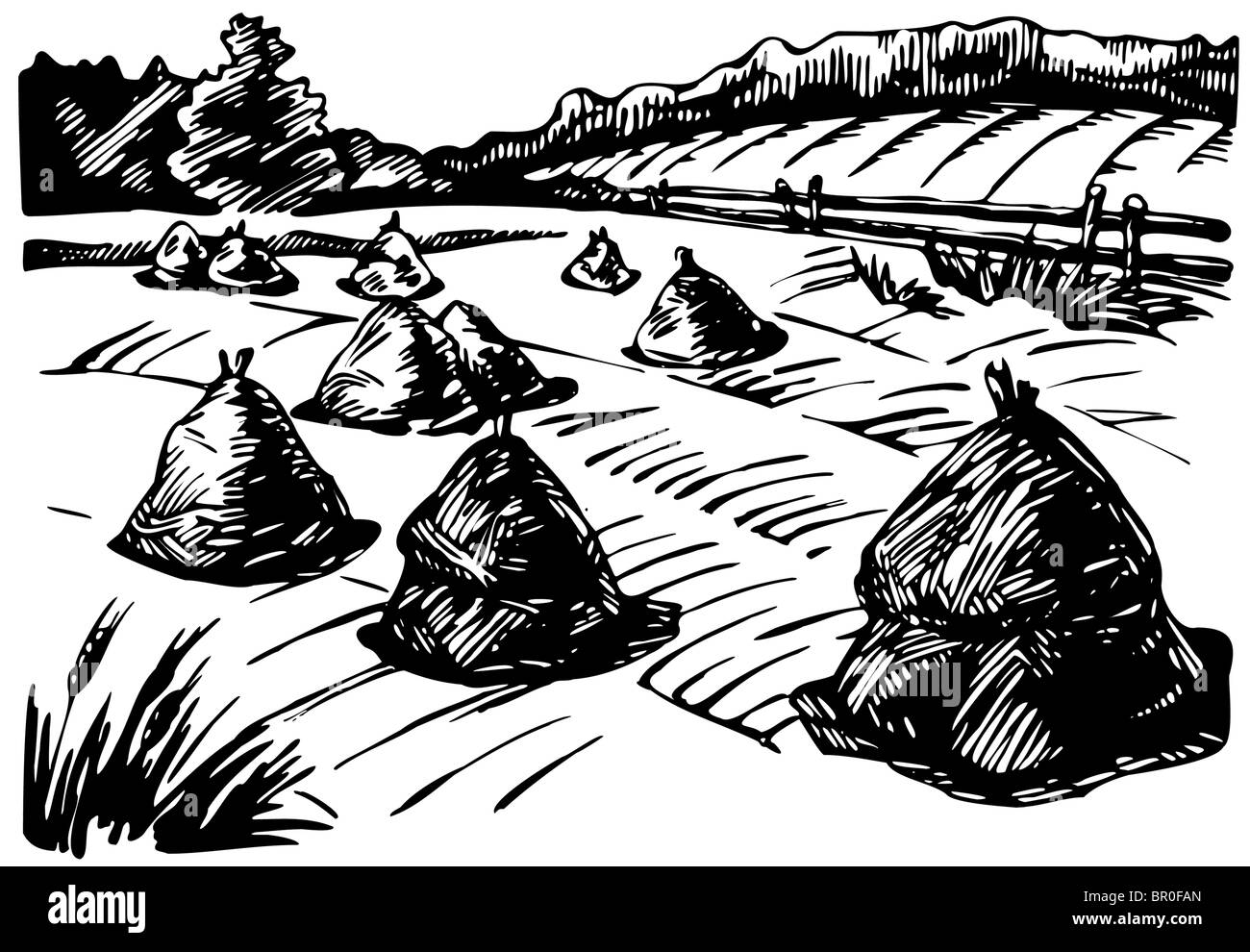 Una foto in bianco e nero di balle di fieno seduta nel campo Foto Stock