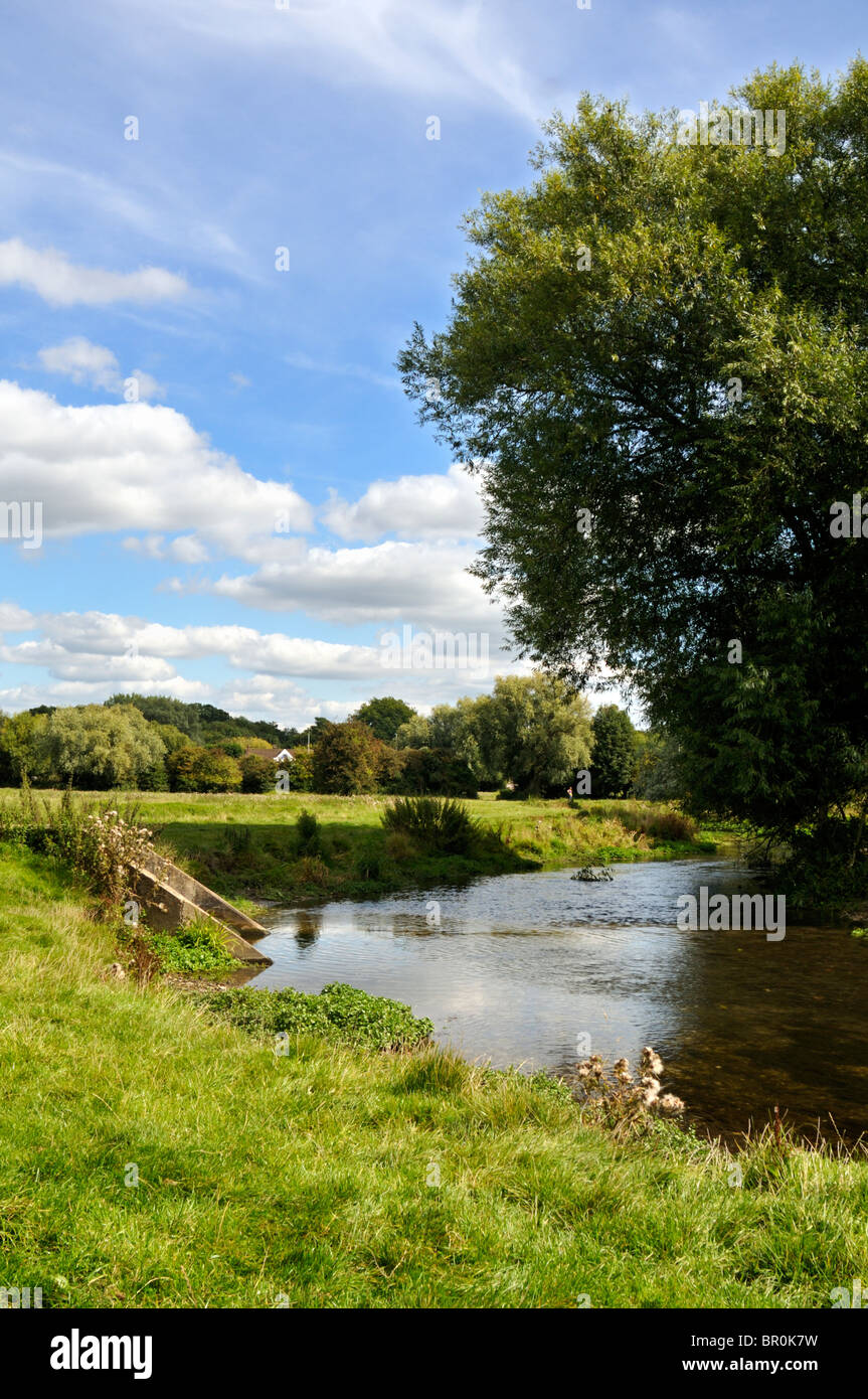 Fiume Bulbourne e moor, Hemel Hempstead, Hertfordshire, Regno Unito. Foto Stock