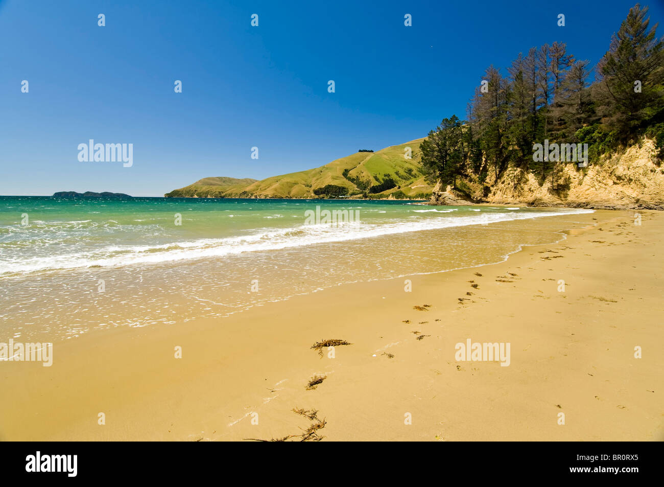 Nuova Zelanda, Isola del Sud, Marlborough Sounds. Spiaggia di Titirangi Bay. Foto Stock