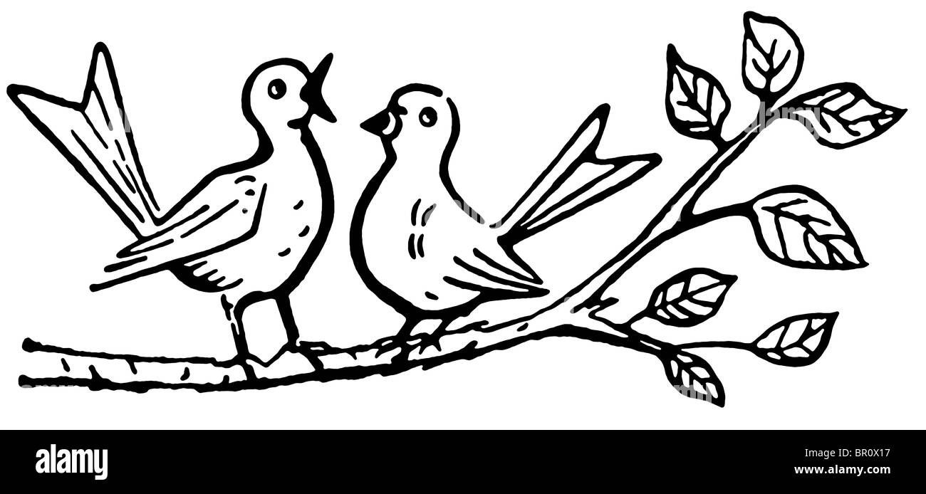 Una versione in bianco e nero di due uccelli su un ramo di albero cantando Foto Stock