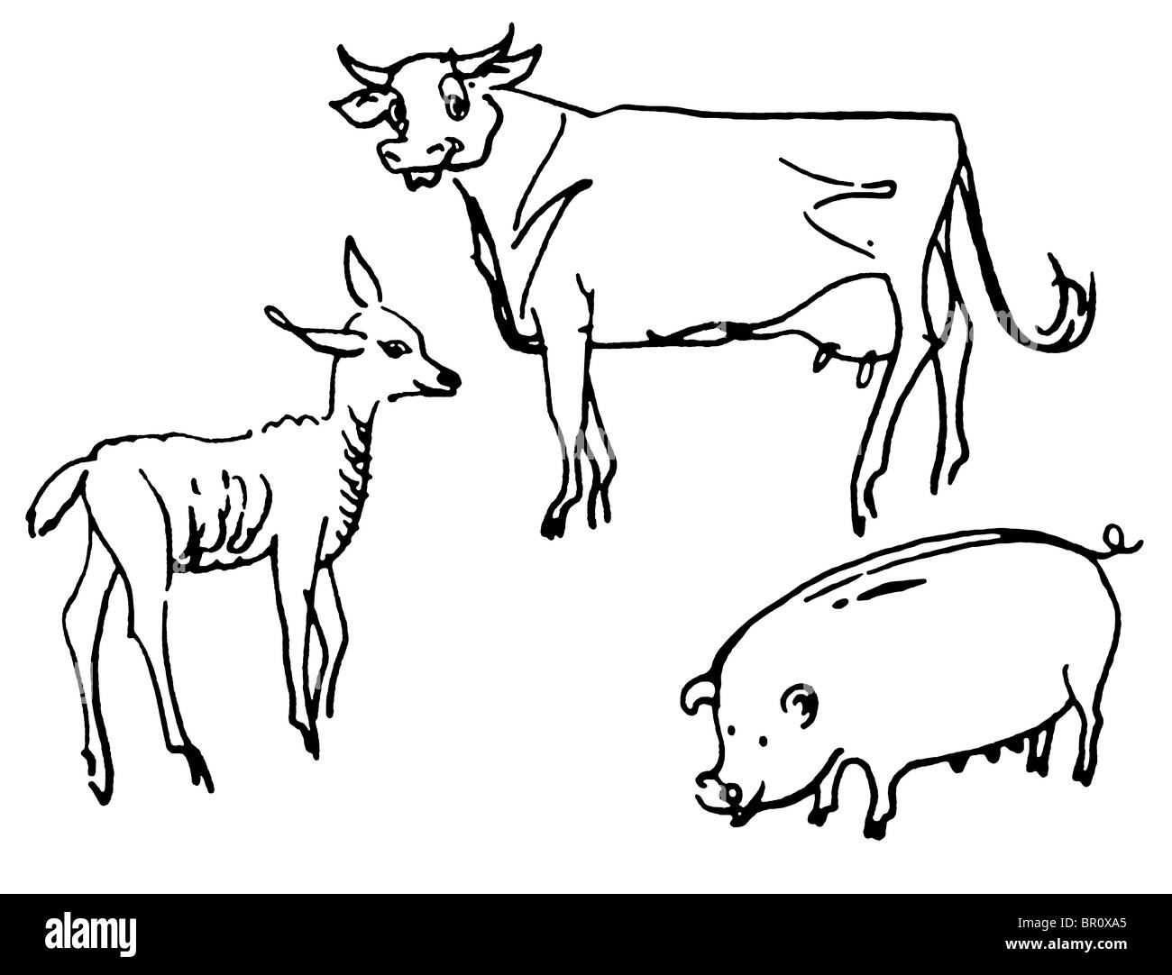 Una versione in bianco e nero di un'illustrazione di una mucca Foto Stock