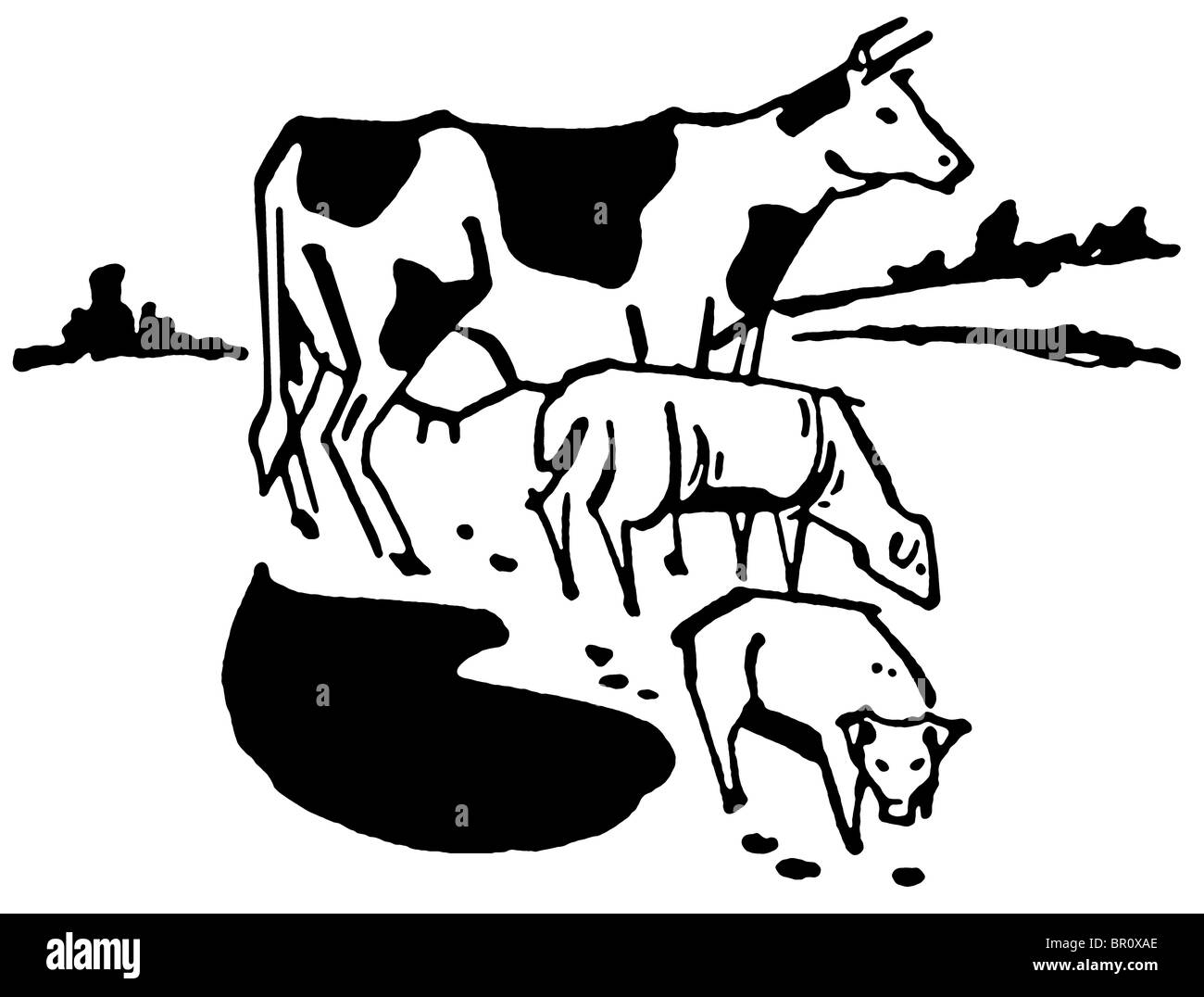 Una versione in bianco e nero di un'illustrazione di una mucca Foto Stock