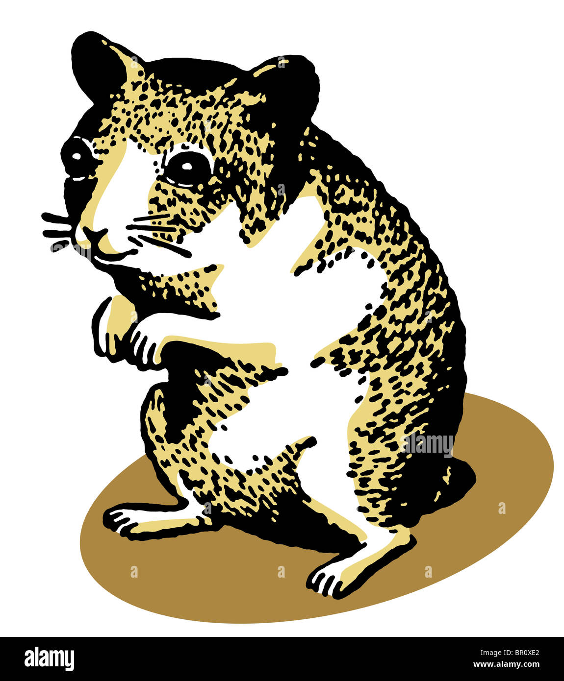 Una illustrazione di un criceto in piedi sulle zampe posteriori Foto Stock