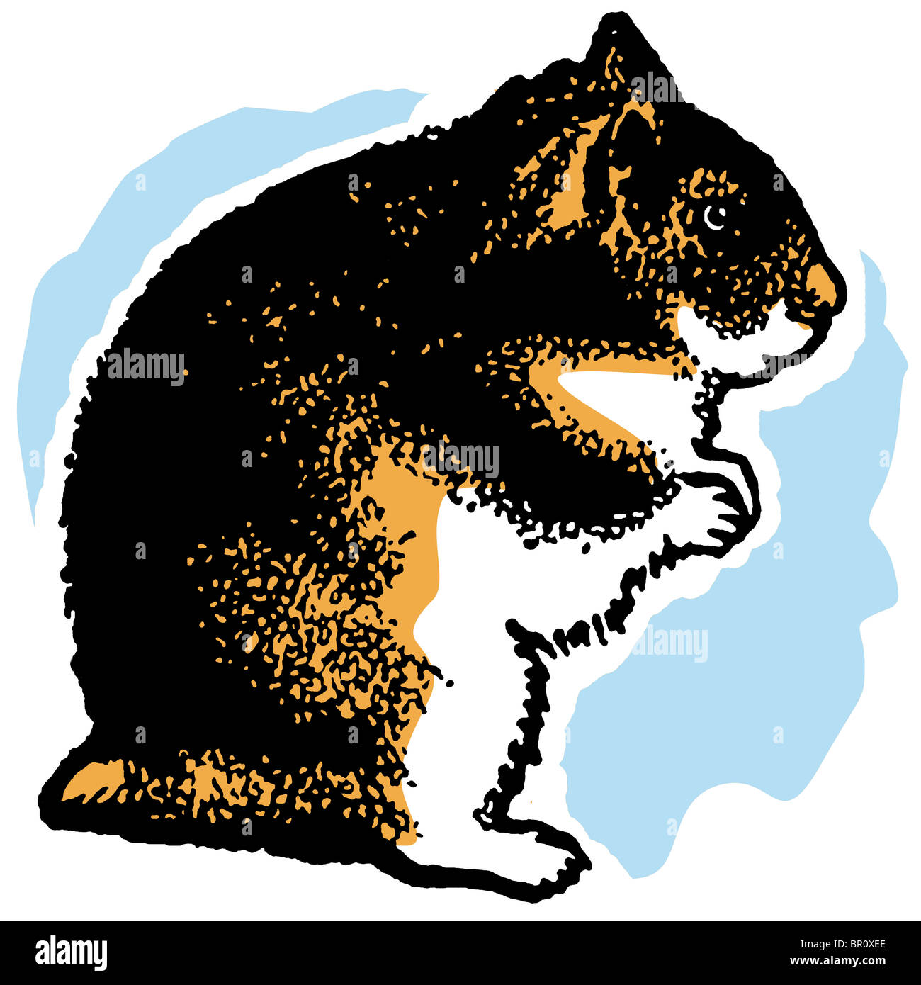 Una illustrazione di un criceto in piedi sulle zampe posteriori Foto Stock