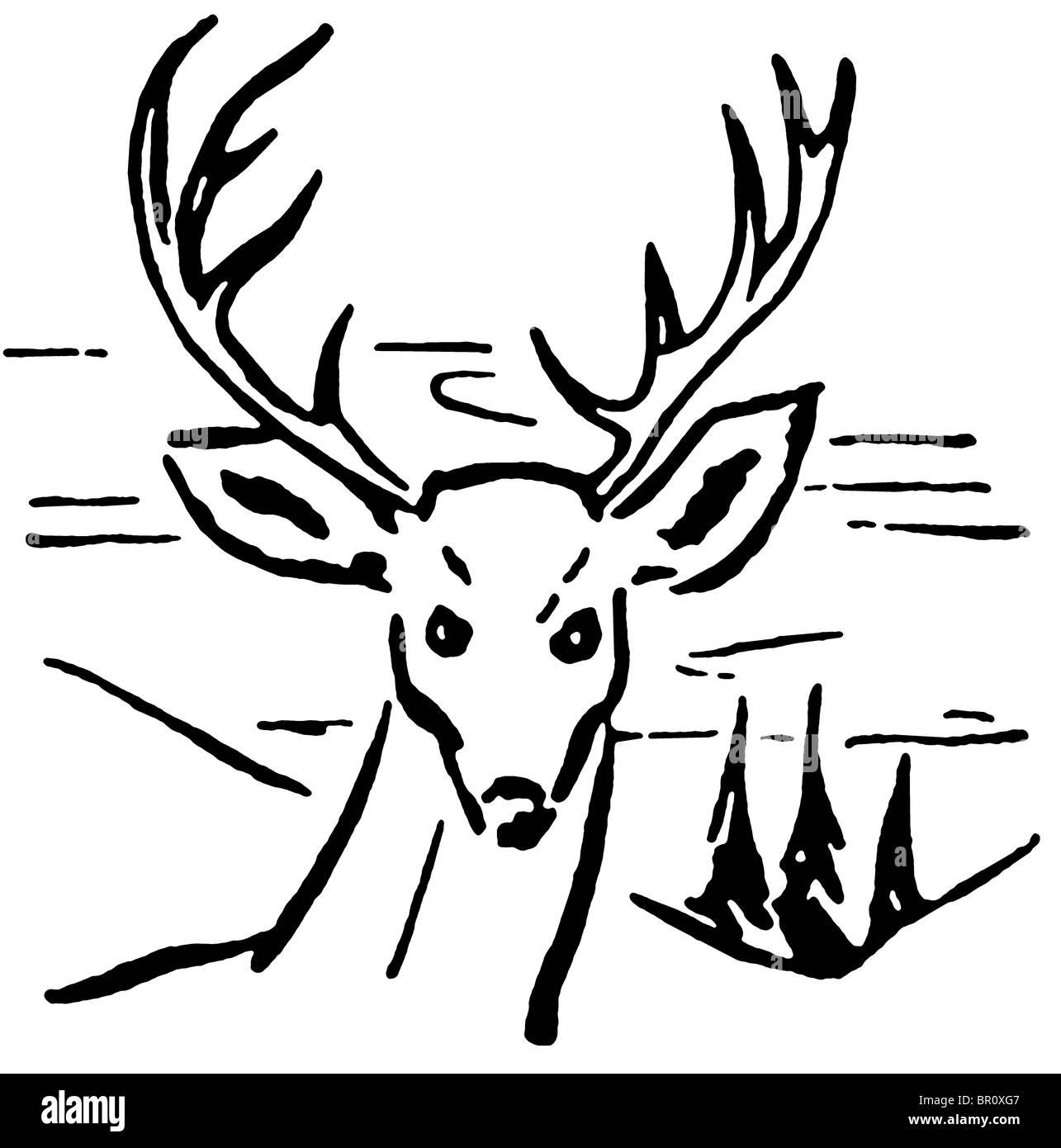 Una versione in bianco e nero di un'illustrazione di un cervo con alberi di pino e colline in background Foto Stock