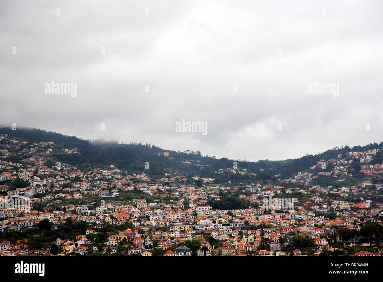 Funchal case di collina - Madera Foto Stock