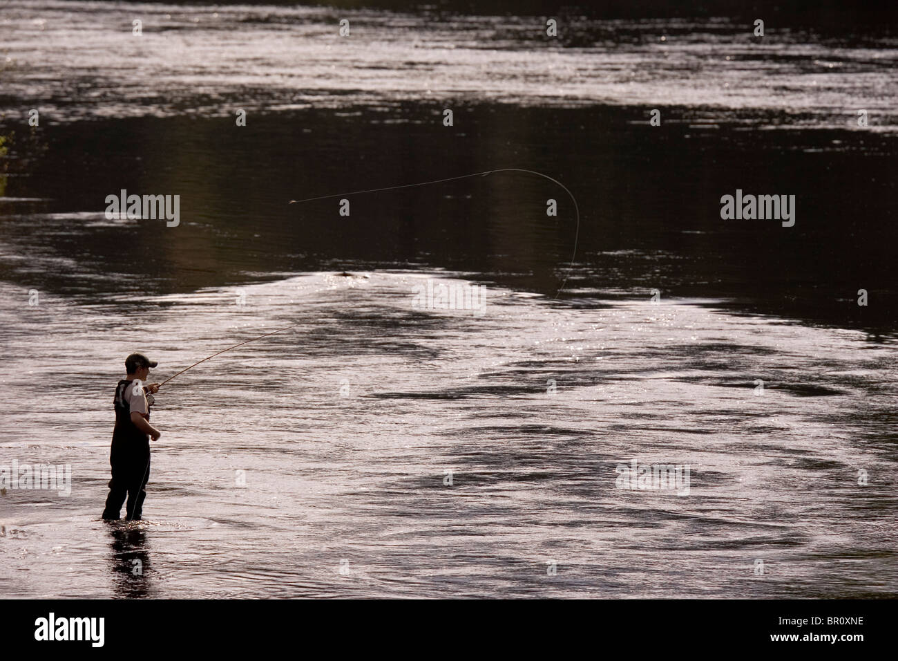 Un uomo volare i pesci per la pesca alla trota sul fiume alci nel Maine. Foto Stock