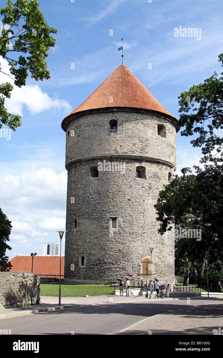 Kiek in de Kok torre a Tallinn in Estonia Foto Stock