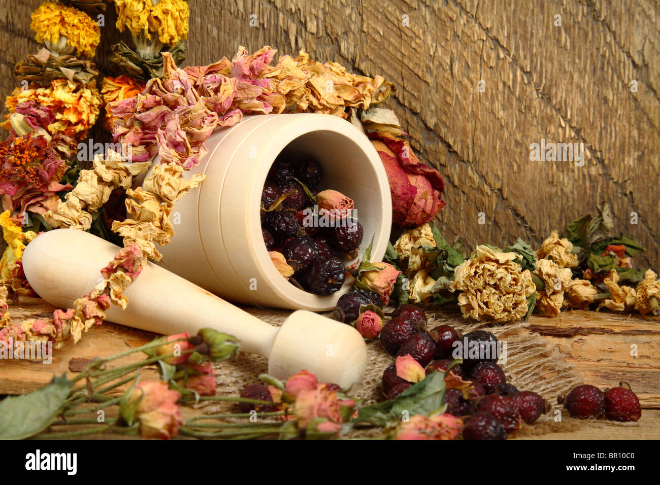 Still-life con malta, rosa canina e fiori secchi Foto Stock
