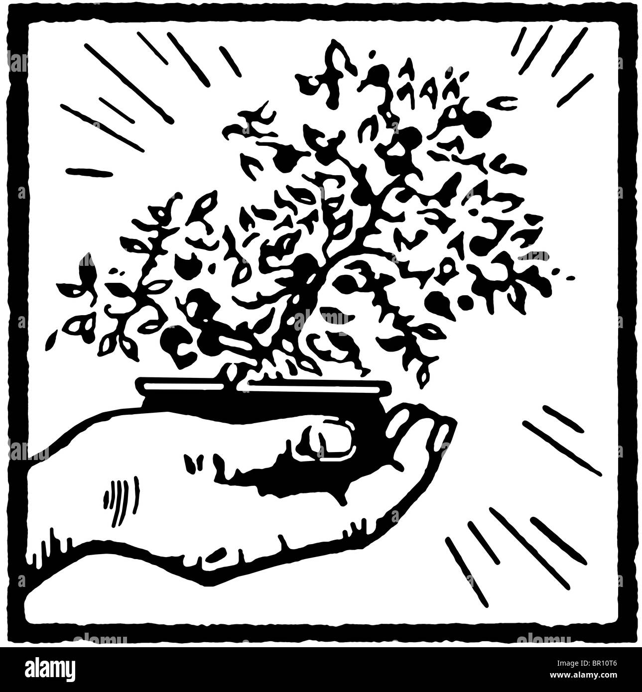 Una versione in bianco e nero di una stampa di una mano che regge un albero di bonsai Foto Stock