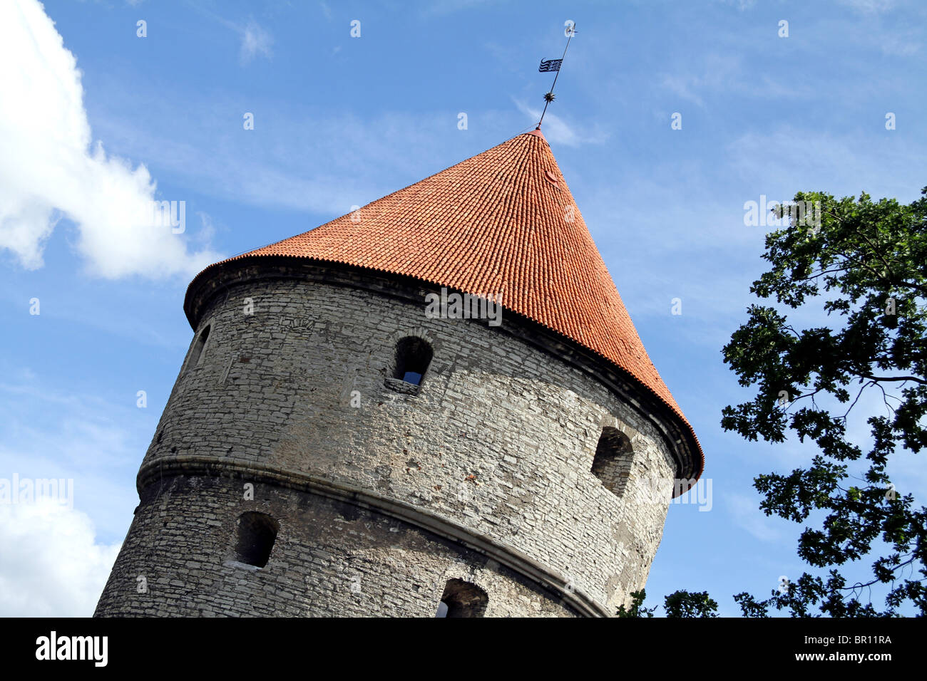 Kiek in de Kok torre a Tallinn in Estonia Foto Stock