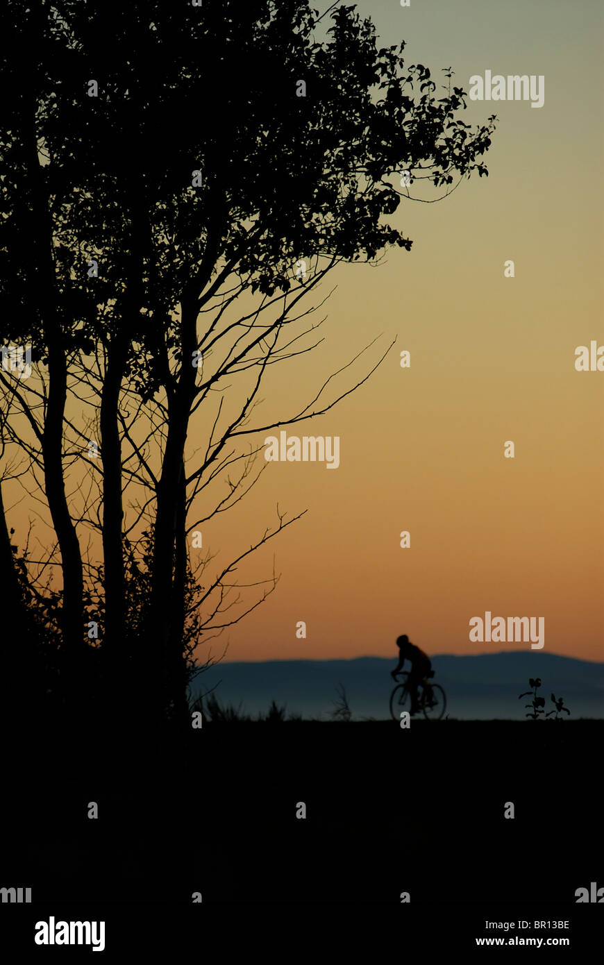 Una donna è il ciclismo su strada atsunset a Iona Beach, Richmond, British Columbia, Canada. (Silhouette) Foto Stock