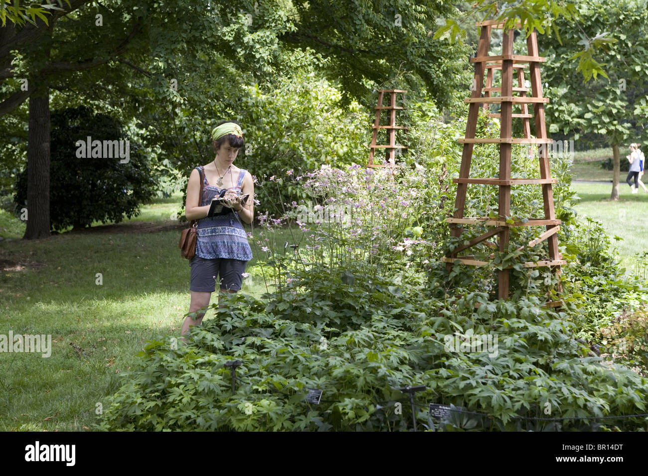 Giovane donna artista fa botanical schizzi al Brooklyn, il giardino botanico di Brooklyn, New York. Foto Stock