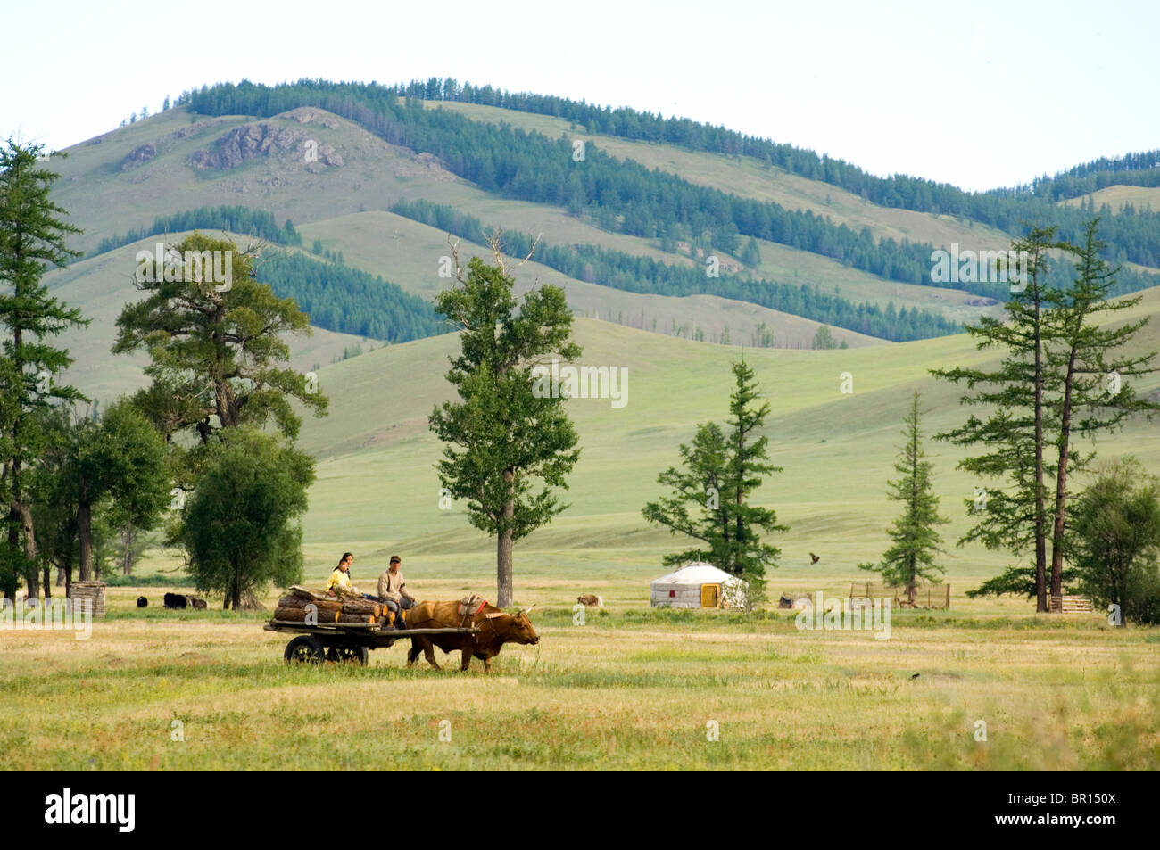 Le popolazioni nomadi herder, Terelj National Park, Mongolia Foto Stock