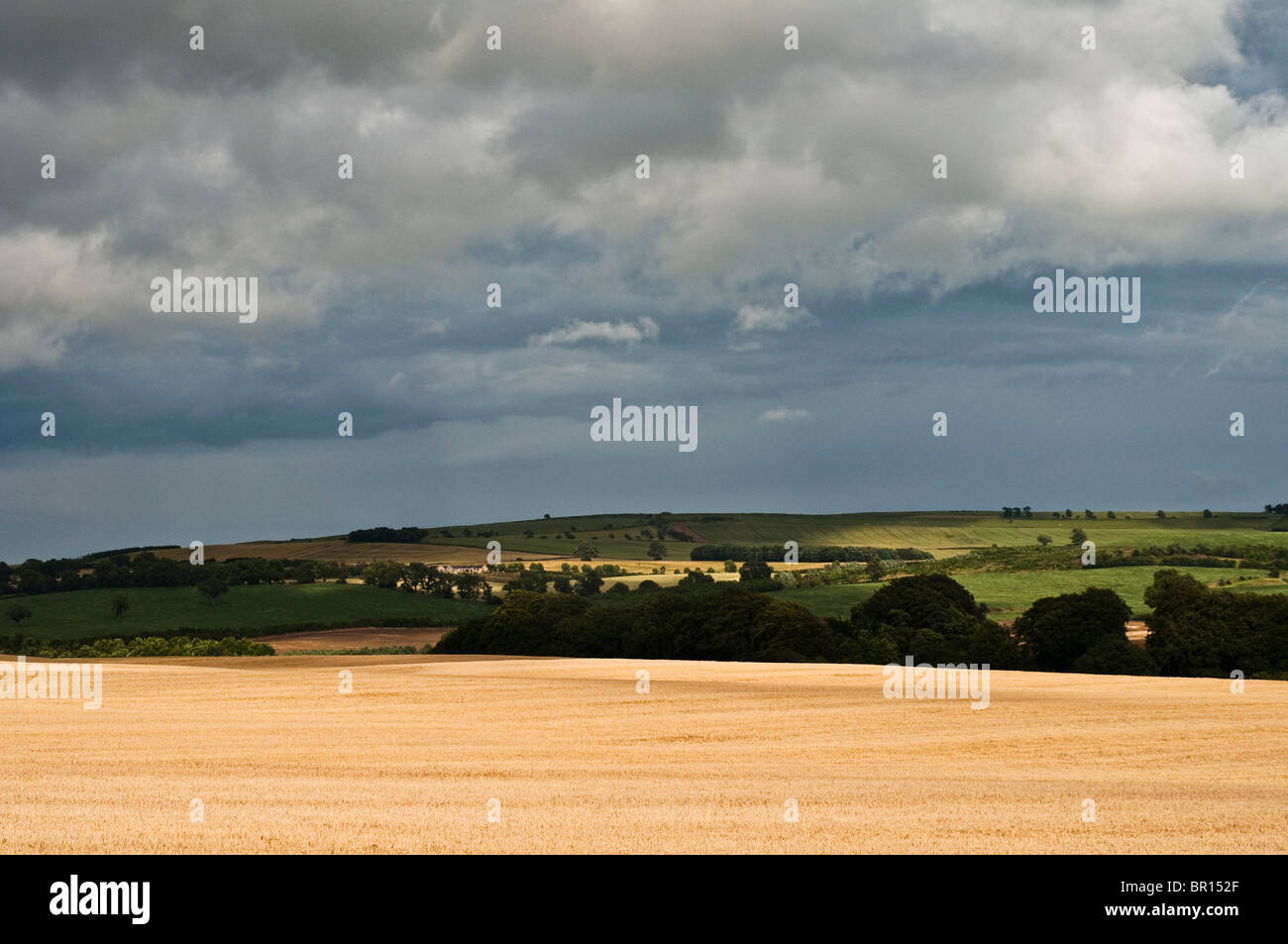 Le aziende agricole e la campagna del Northumberland, Inghilterra, Regno Unito. Foto Stock