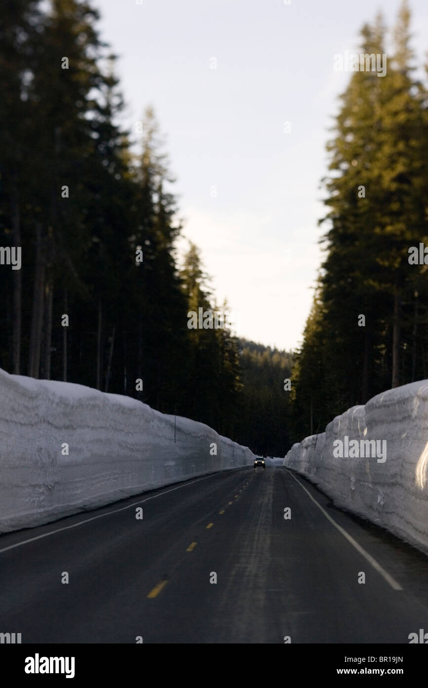 Alta snowbanks fiancheggiano una strada attraverso il taglio dei boschi nel governo Camp, Oregon. (Fuoco selettivo). Foto Stock