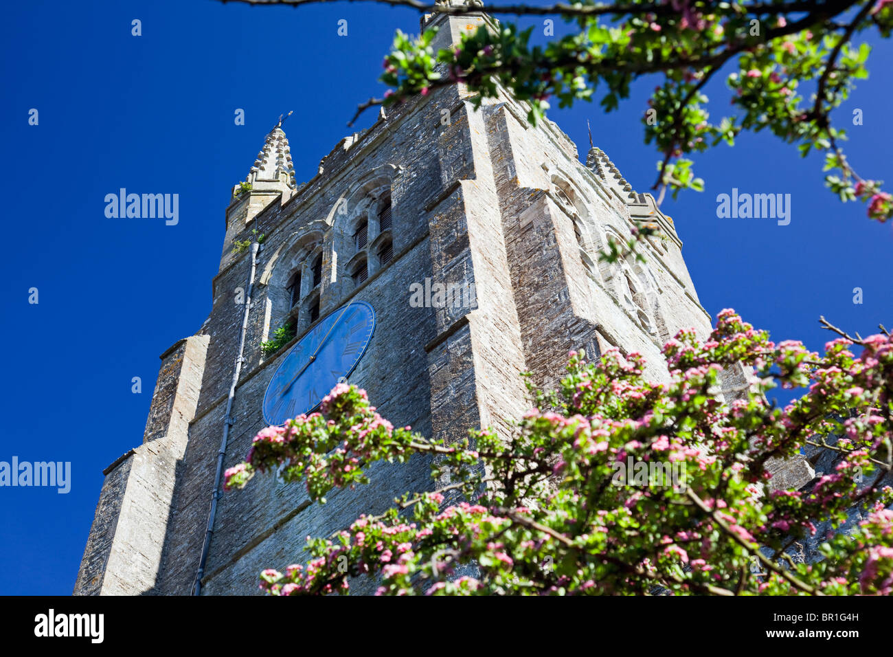 Chiesa di San Mildred (dettaglio della Torre), Tenterden, Kent, Inghilterra, Regno Unito Foto Stock