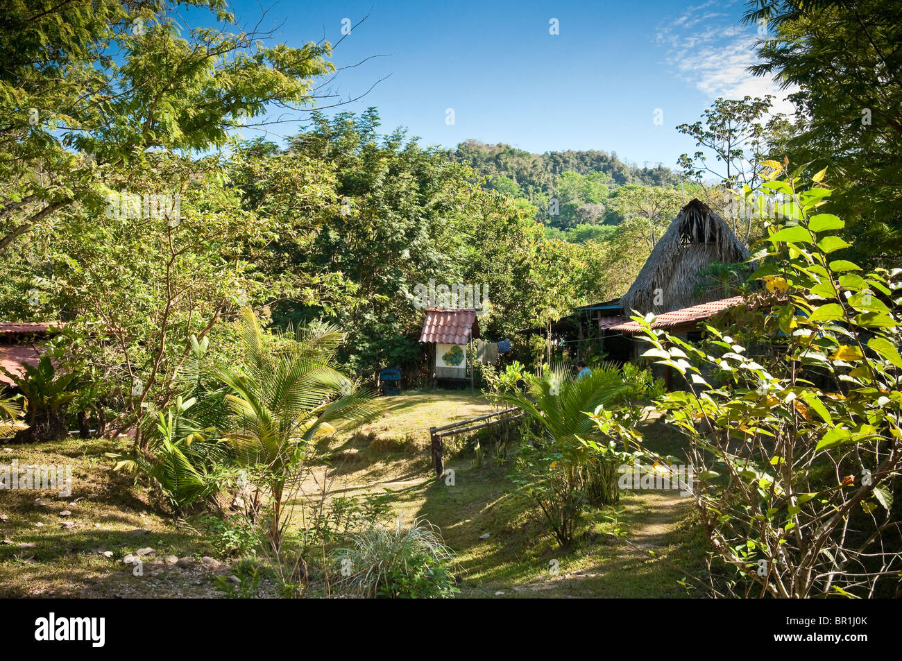 Associazione ecologica progetto ASEPALECO nella Riserva Naturale Karen Mogensen, Nicoya, Costa Rica, America Centrale Foto Stock