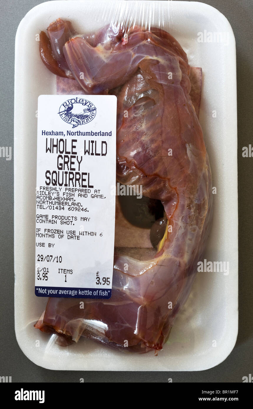 Carne di scoiattolo crudo Wild Grey - un esempio dello strano o strano cibo mangiato dalle persone di tutto il mondo Foto Stock