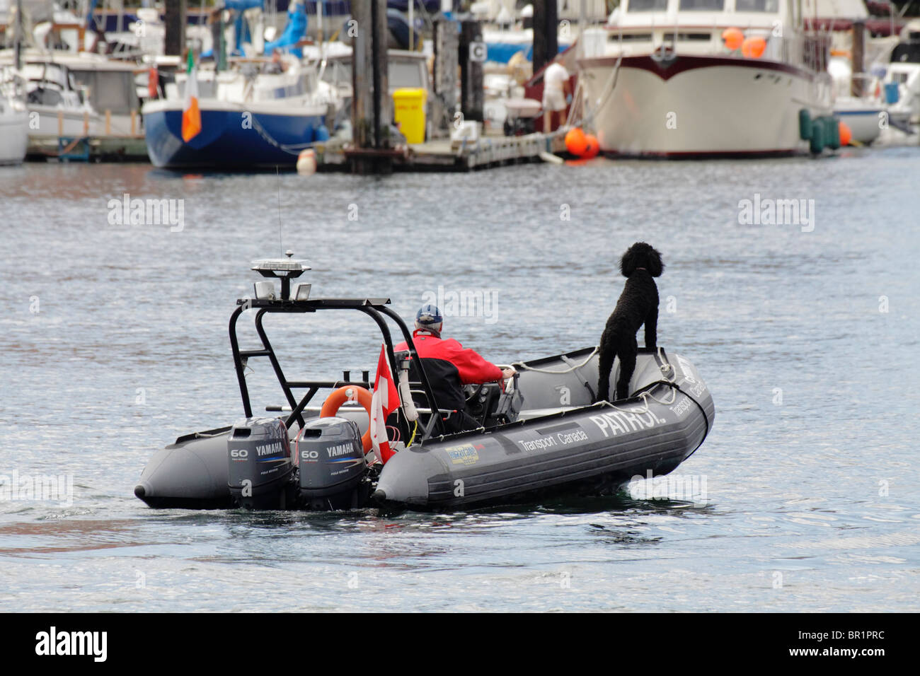 Porto imbarcazione di pattuglia sul dovere durante il classico Festival-Victoria barca, British Columbia, Canada. Foto Stock