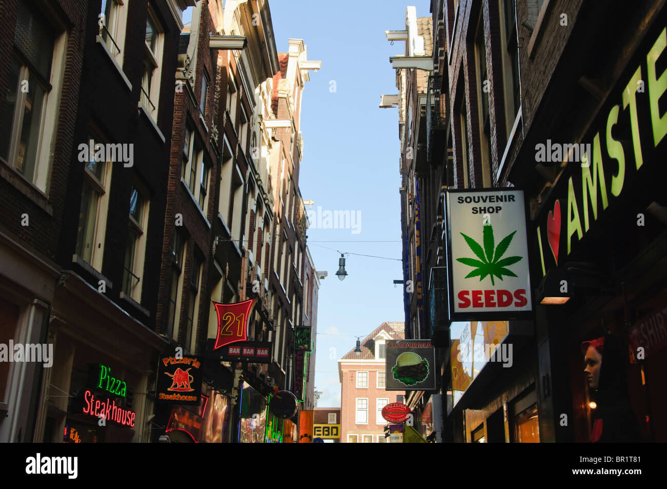La Cannabis shop segno pubblicità semi per la vendita in una strada di Amsterdam Foto Stock
