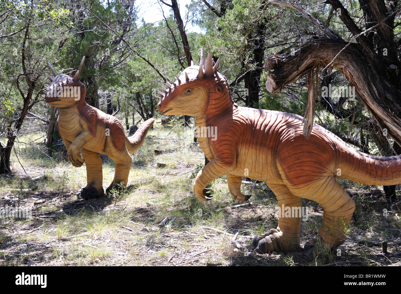 Stygimoloch, mondo di dinosauri, Glen Rose, Texas, Stati Uniti d'America Foto Stock