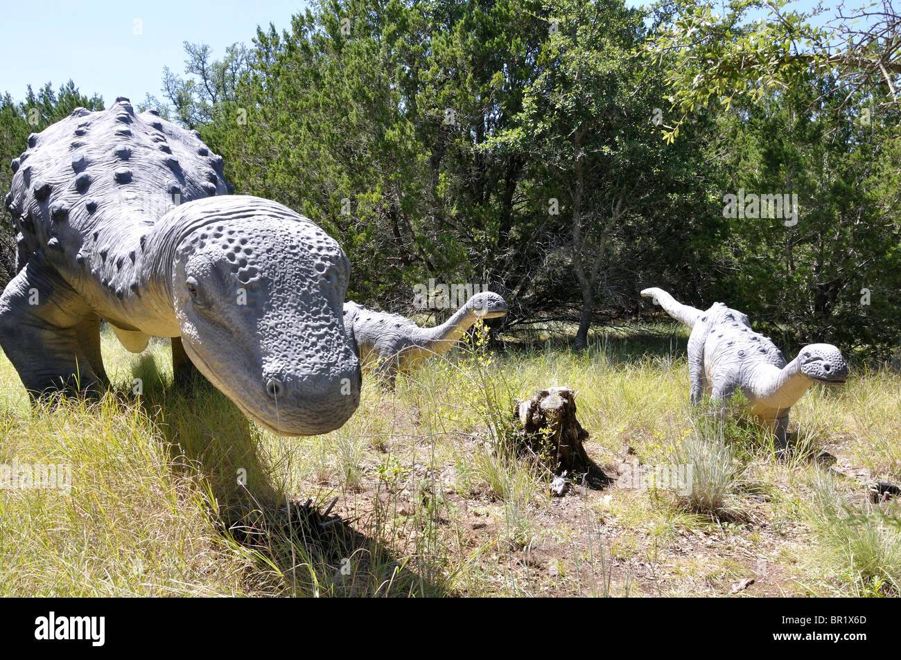 Saltasaurus, mondo di dinosauri, Glen Rose, Texas, Stati Uniti d'America Foto Stock