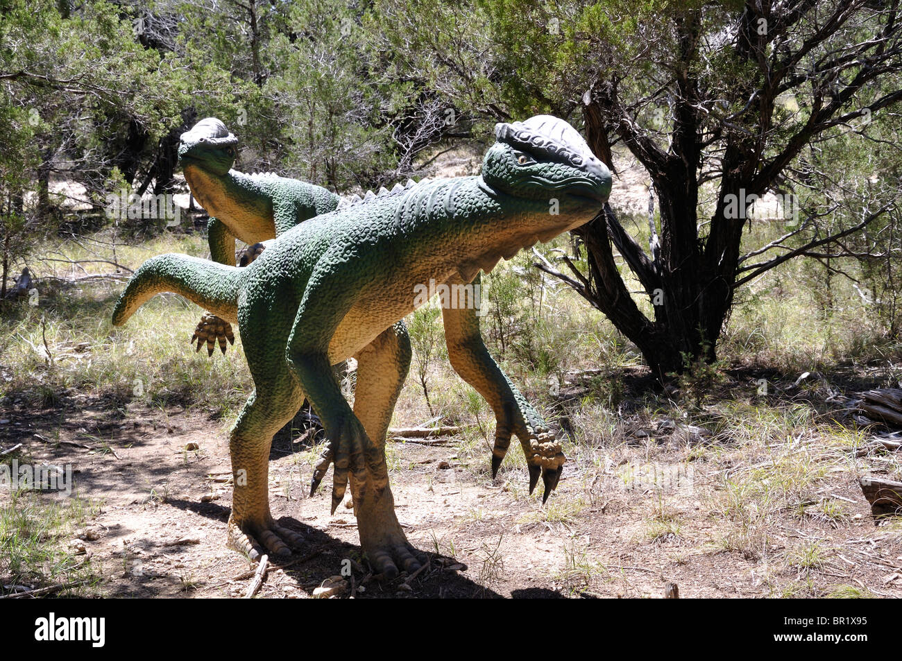 Stegoceras, mondo di dinosauri, Glen Rose, Texas, Stati Uniti d'America Foto Stock