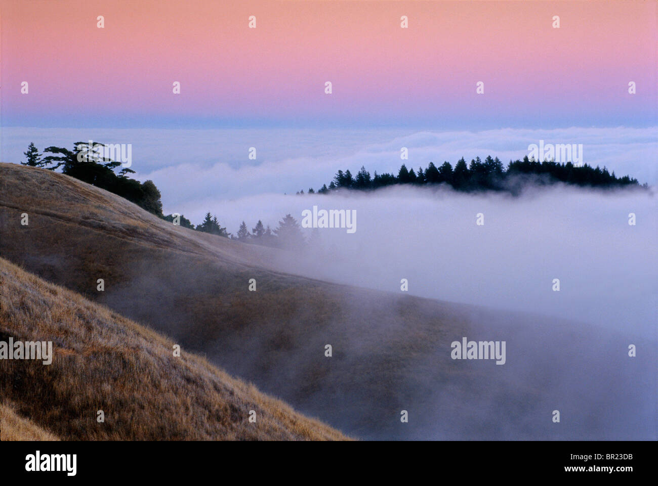 Paesaggio, nebbia fino al rotolamento di creste al crepuscolo Foto Stock