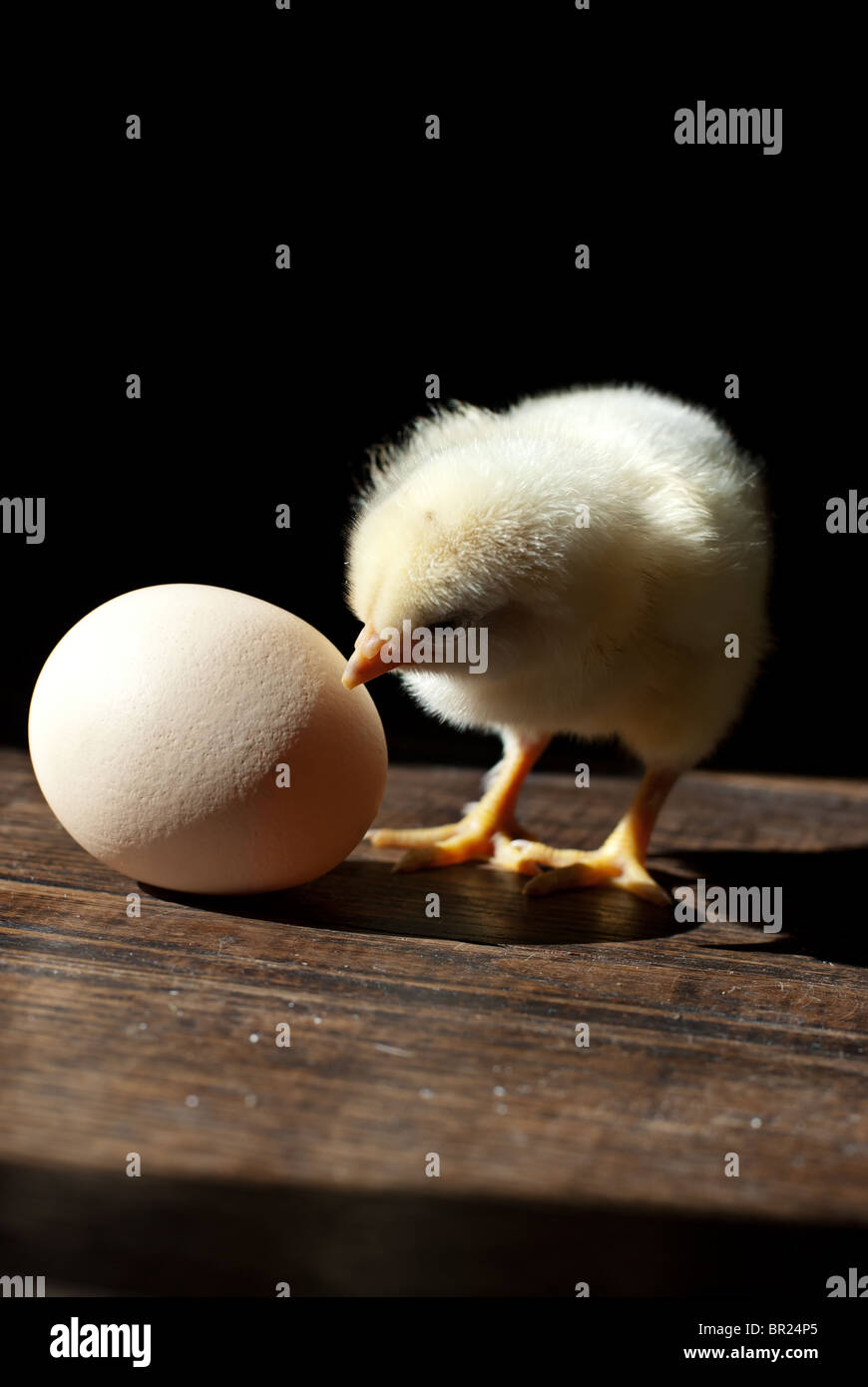 "Vieni, fratello!". Foto Stock