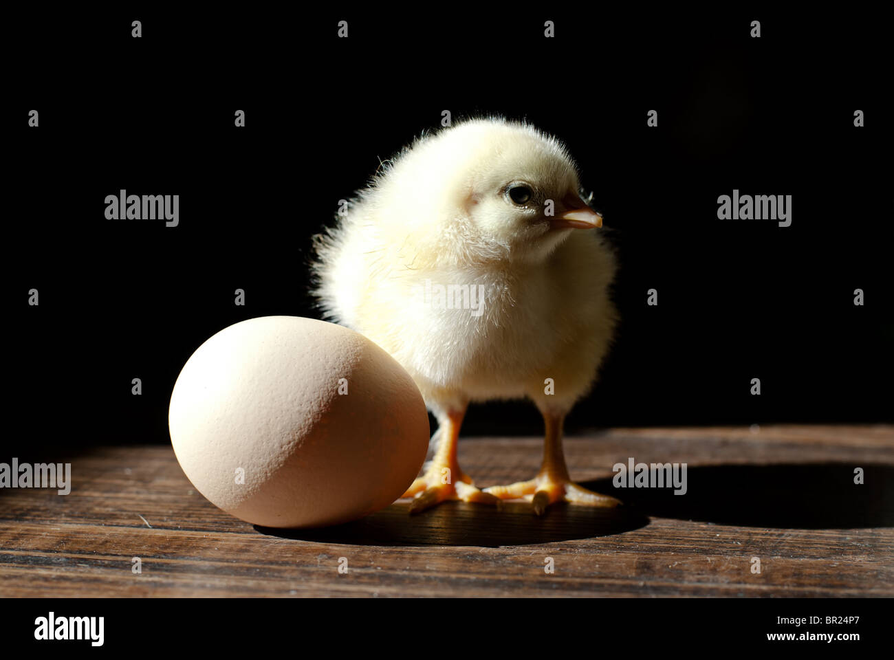 "Vieni, fratello!". Foto Stock