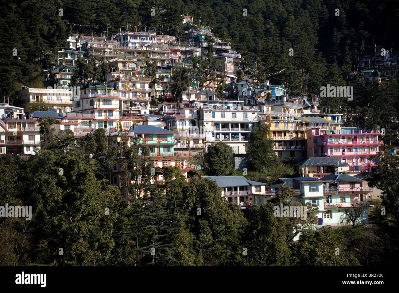 Piccolo villaggio sul montaign Dharamsala, Himachal Pradesh, India. Foto Stock