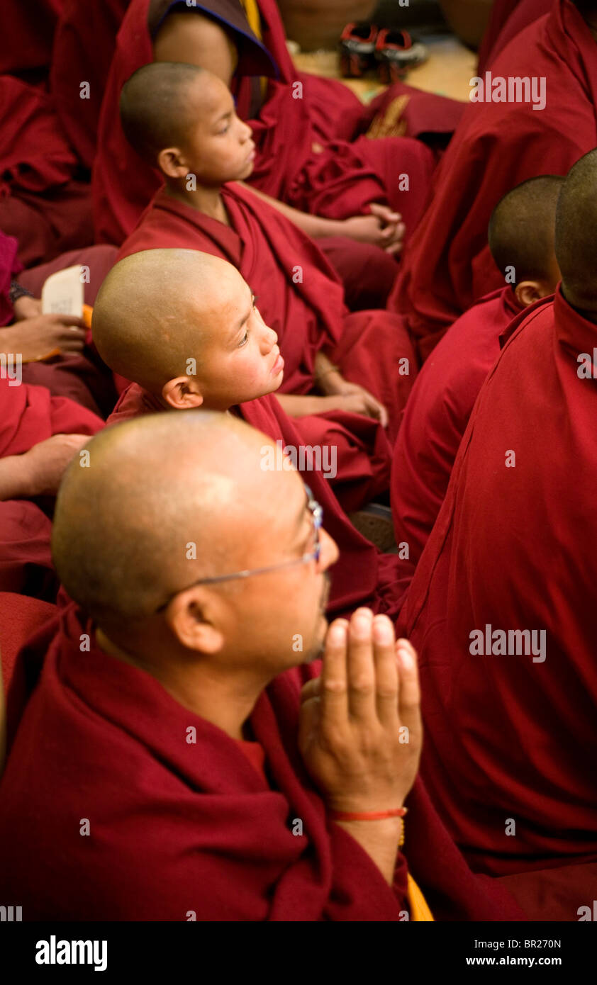 Monaci Tibetani pregando presso il tempio Tsuglagkhang, McLeod Ganj Dharamsala, Himachal Pradesh, India. Foto Stock