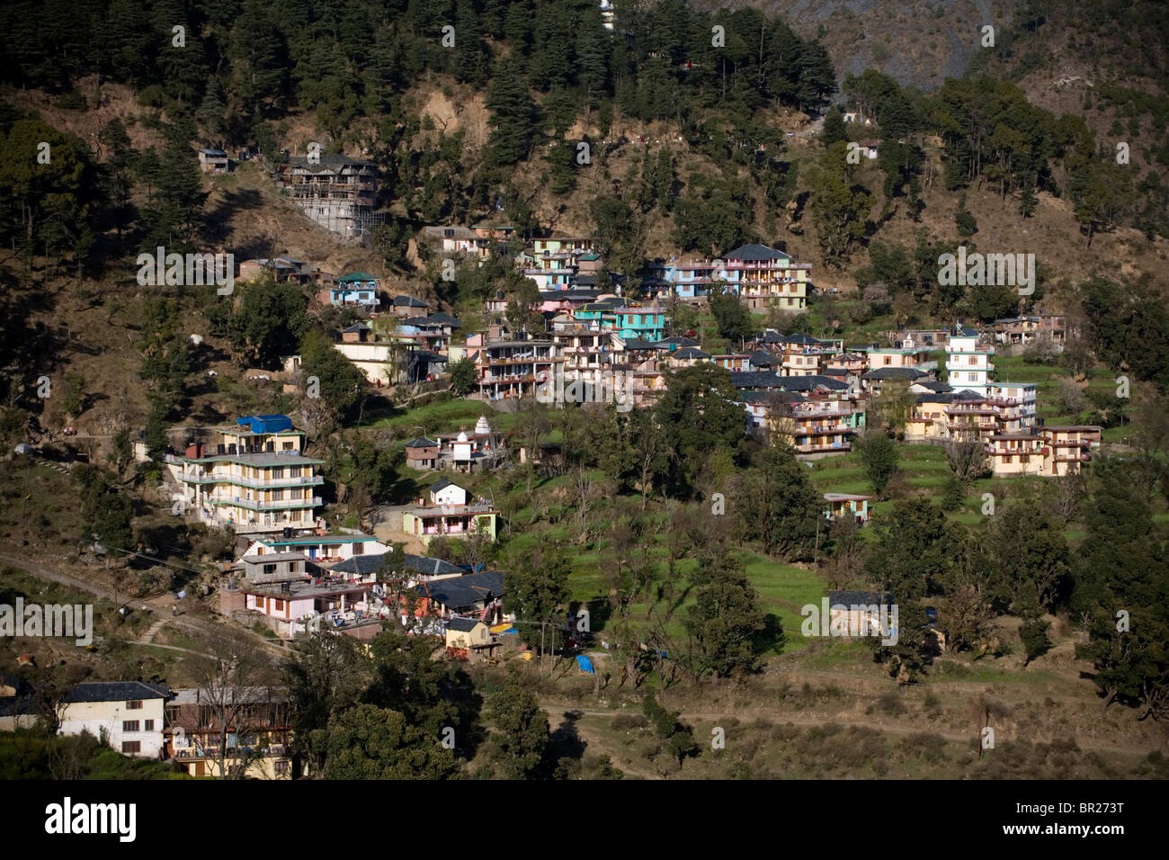 McLeod Ganj,Dharamsala, Himachal Pradesh, India. Foto Stock