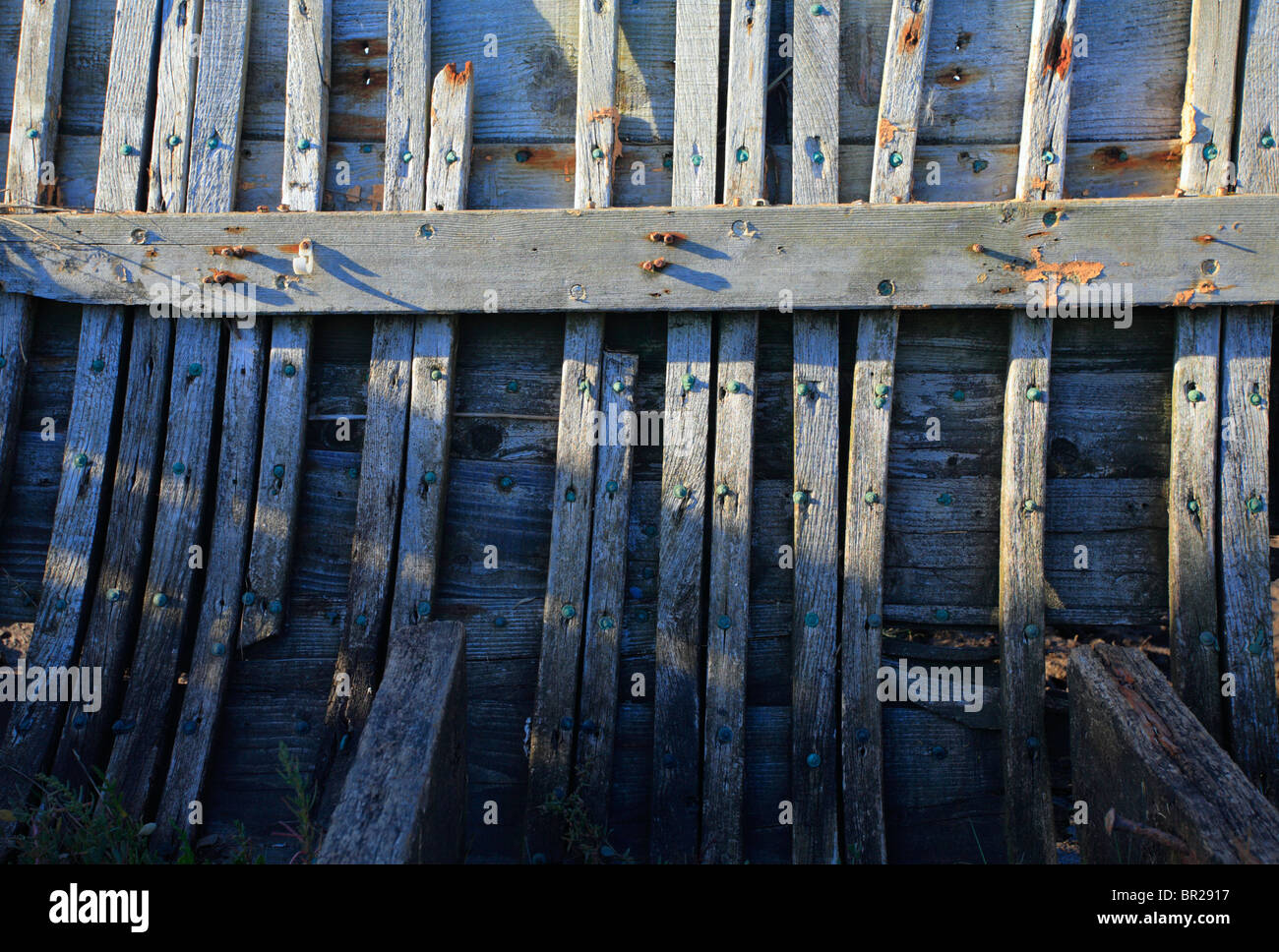 All'interno del relitto di una vecchia barca di legno sul marsh a Blakeney sulla Costa North Norfolk. Foto Stock