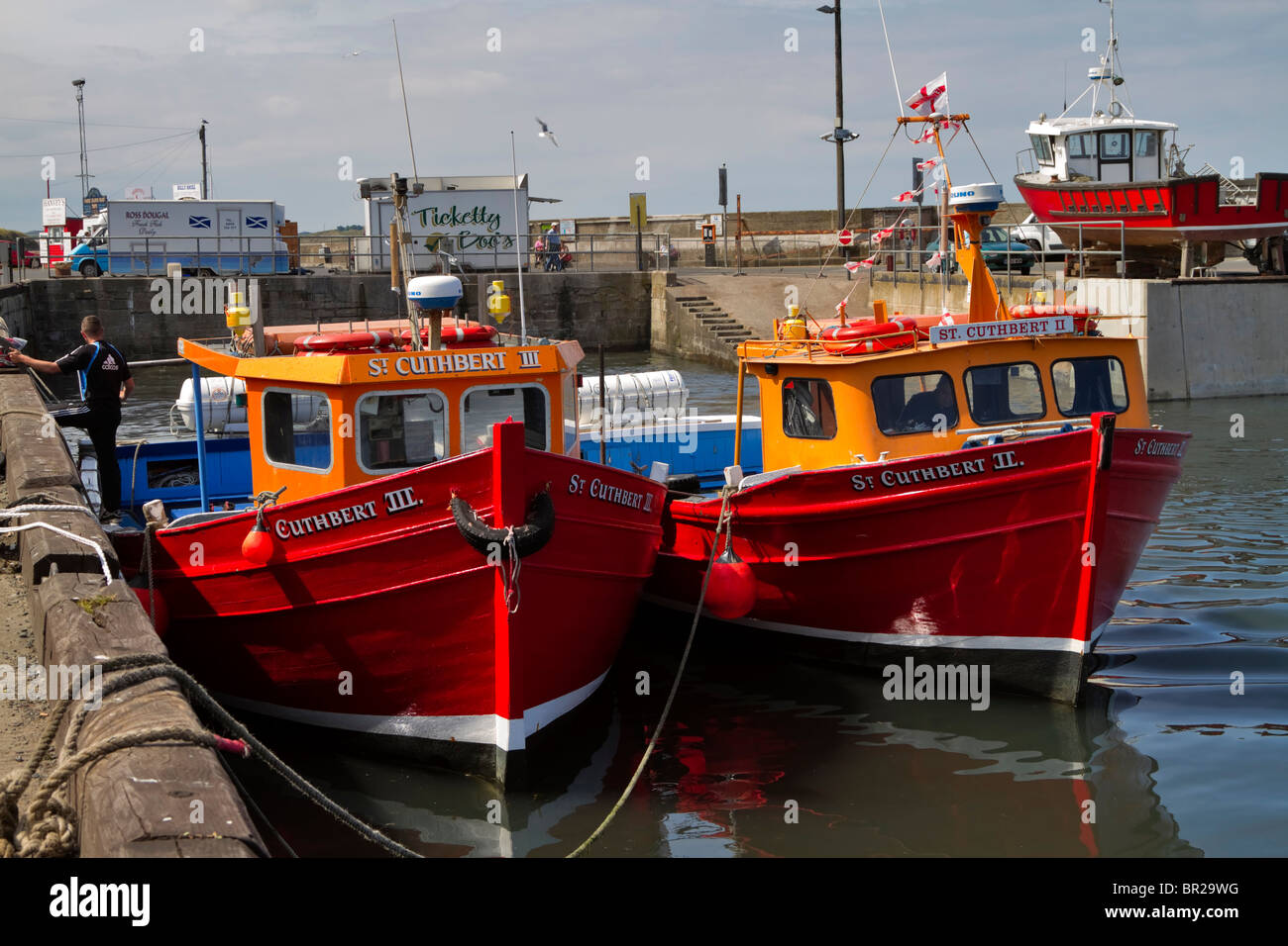 Dipinto luminosamente navi passeggeri di St Cuthbert farne isola gite in barca in porto a Seahouses, Northumberland Foto Stock