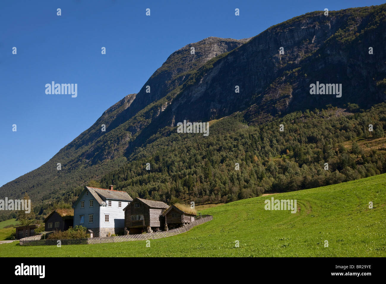 Fattoria alpina edifici, Olden, Norvegia, lussureggianti e verdi pascoli Foto Stock