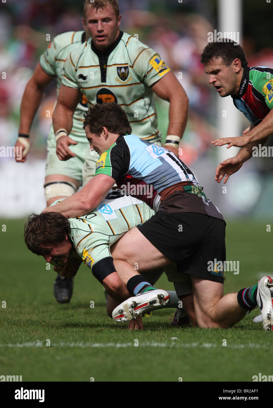 Aviva Premiership partita di rugby arlecchini v Northampton Santi Foto Stock