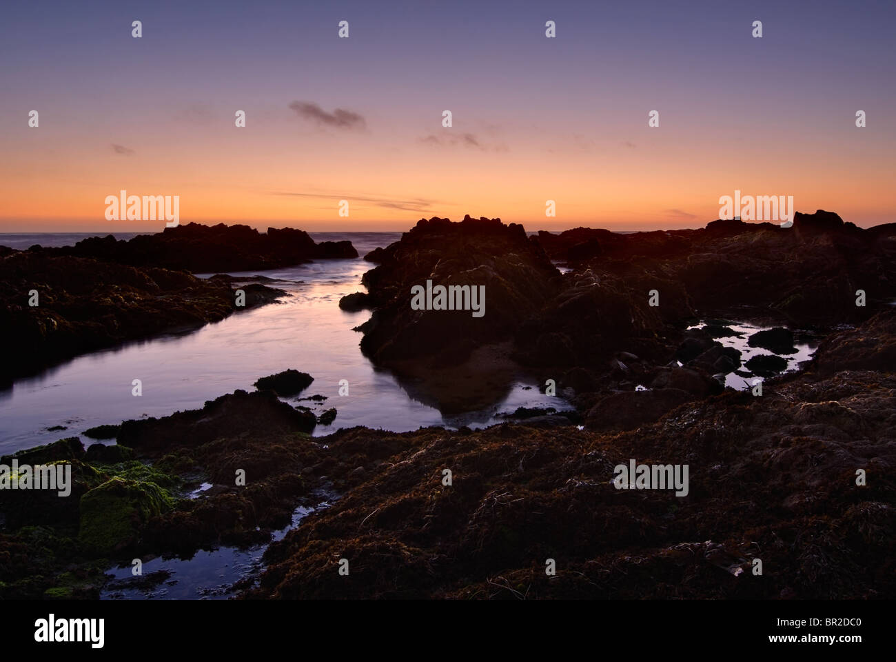 Asilomar rocciosa spiaggia nella baia di Monterey al tramonto. Foto Stock